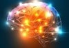 3D Scaffolding Helps Create Human Neurons for Brain Transplants
