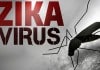 50 US Cities at Potential Risk from Zika Virus