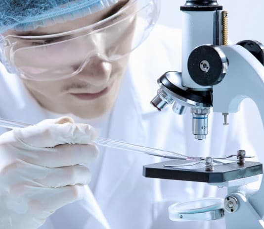 Research Position Vacant for MSc Candidates @ BHU