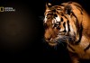 Apply For National Geographic’s Young Explorers Research Grant | A Biotecnika Exclusive