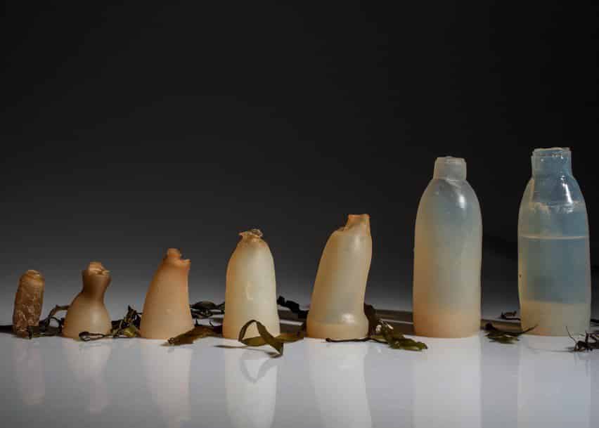 algae-water-bottle-by-ari-jonsson-designmarch_dezeen_ban
