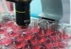 Hands-on Training Workshop On Basic Cell Culture Technology @ NCCS