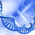 MSc Biotech Project Fellow