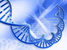 MSc Biotech Project Fellow
