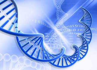 MSc Biotech Project Fellow