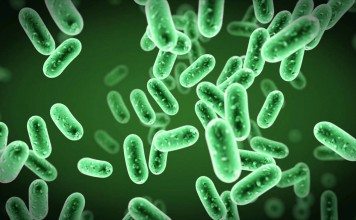 BSc Biosciences Research Technician Post Vacant @ Jamia Millia Islamia