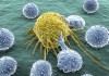How to Transform Living Cancer Cells into Drugs