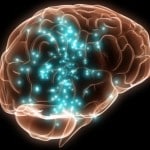 Glucose Regulation Is Not Specific to Pancreas, Says New Study