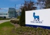 Work as IP Trainee @ Novo Nordisk | Biotech Freshers Also Apply