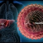 How HBV’s X protein Circumvents Our Defence Systems