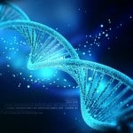 Researchers identified Gene responsible for evolution of Intelligent Life