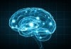 Brain Uploaded to Computer – Russian Billionaire Becomes Immortal