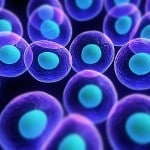 Scientists developed New Method for harvesting Stem Cells