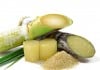 Sugarcane a More Economical Choice for Biodiesel Than Soybean MSc Basic Sciences Young