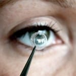 Humanised Pig Corneas May Help Restore Eyesight