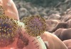 Mini Hijackers – Virus Found to Take Over MicroRNA for Propagation MicroRNA for Propagation