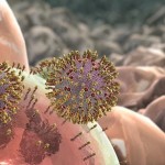 Mini Hijackers – Virus Found to Take Over MicroRNA for Propagation MicroRNA for Propagation