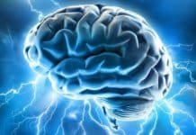 The Human Memory Disk : The Brain-Memory transfer for long term Storage