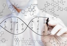 US Researchers Find New genes Responsible for Dementia and Stroke