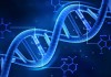 Plug-and-Play DNA – Programming Language Turns Organic