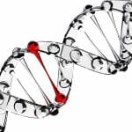 Long Lost Retro DNA : Finding home takes time, but Insertion takes a Blink