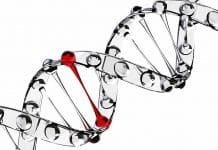 Long Lost Retro DNA : Finding home takes time, but Insertion takes a Blink