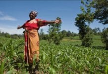 Farmers Failing to use Biotechnology Will Be Hit Harder By Climate Change