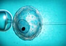 Ethical or Non-Ethical | Chinese Scientists gamble on Editing Human Embryos