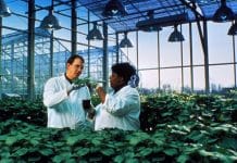 Uganda Calls for Flexibility to Allow Innovation in BioSafety Bill