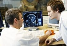 Work as a Project Assistant @ IBB, Savitribai Phule Pune University