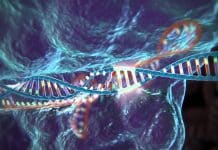 New CRISPR/Cas9 Gene Editing System Targets Both DNA and RNA