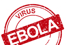 Palm-Sized Detector Can Now Rapidly Detect Ebola