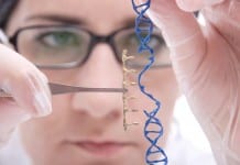 Gene Editing Breakthrough Bring HIV Cure One Step Closer