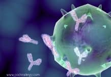 TALEN – Gene-Editing Technique To Improve Immunotherapy