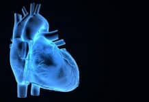 ISRO’s Spin-off : From Space Technology to BioTecnology