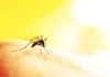 #FeelingProud : Indian Girl Cracks Zika Virus Structure