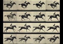 Stop-Motion RNA – Scientists make RNA the Protagonist of a Film