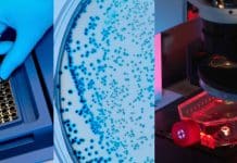 Genelon invites for Short-term custom-based Workshops with Specialised courses | Enroll Now