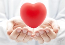 Mending a Broken Heart – Study Says Cell Therapy Is the Answer