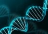 TargetFinder Technology Helps Interpret Genomic “Dark Matter”