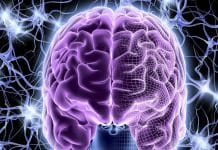 Brain Dictionary: Scientists create Atlas to decode inner thoughts