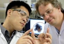 Bubble Technology can now deliver drugs directly to tumors