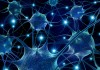 Human Stem Cells Used to Grow Mini 3D Retinas