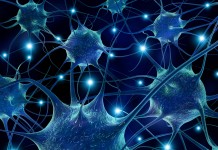 Human Stem Cells Used to Grow Mini 3D Retinas