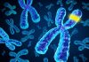 The Path to Fighting Cancer – Identifying Malfunctioning DNA Repair Genes