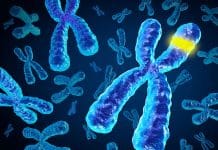 The Path to Fighting Cancer – Identifying Malfunctioning DNA Repair Genes