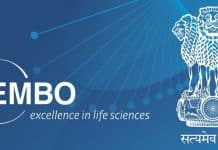 Apply For The Famous EMBO Short-Term Fellowships