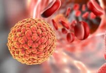 Scientists develop New Mouse model to enhance research of Zika virus Microbiome Could Help Predict Cancer-Related Blood Infections