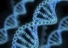 University of Washington Team stores digital images in DNA