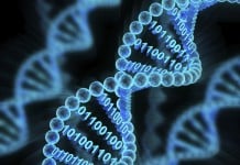 University of Washington Team stores digital images in DNA
